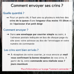 Porte clef en crin de cheval Show Girl libre