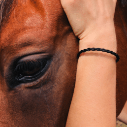 Bracelet crin de cheval Mustang, Homme