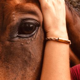 Bracelet crin de cheval personnalise