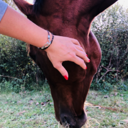 bracelet en crin de cheval sabbah personnalisable